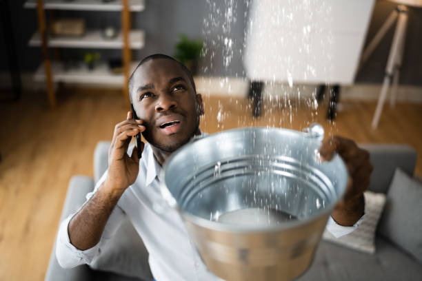 Best Local water damage restoration  in Soh Jordan, UT