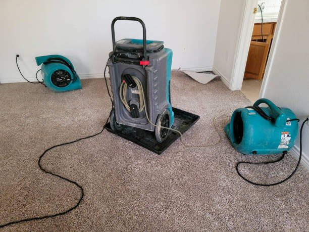 Best Mold removal after water damage  in Soh Jordan, UT