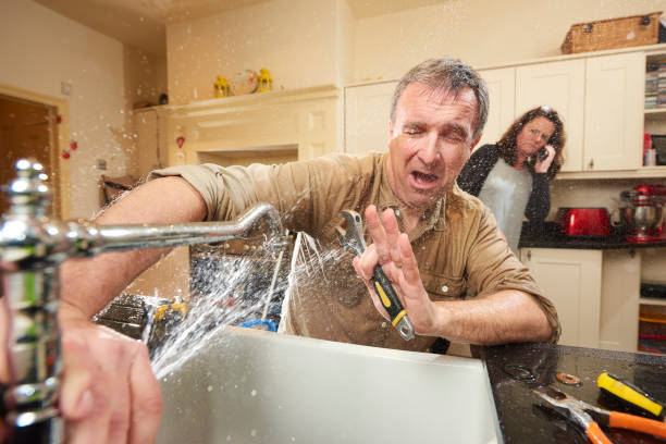 Best Flood damage cleanup  in Soh Jordan, UT